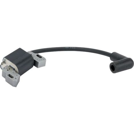 Bobine allumage moteur tondeuse Briggs et Stratton 595009 (1/2)