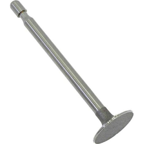 VALVOLA ASPIRAZIONE (360218)BRIGGS &amp STRATTON -360218