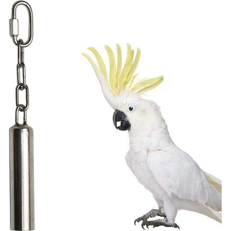Élément décoratif pour cage à oiseaux, en béton durable pour des pattes saines, favorise le limage naturel du bec, idéal pour les perruches, les calopsittes et les conures. (1/5)