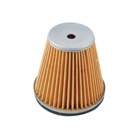 Filtro aria compatibile motore 4tempi rasaerba ROBIN EY21W 210-32601-28