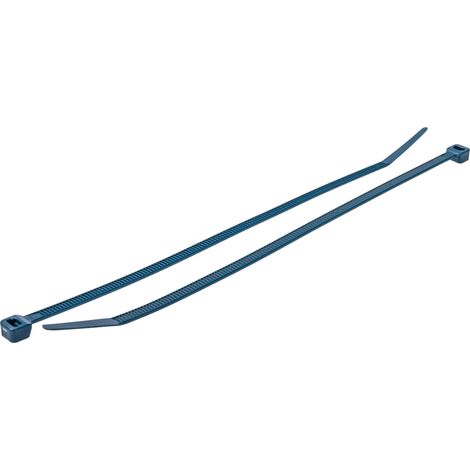 Serre-câble RS PRO Bleu en Nylon détectable au métal, 203mm x 4,6 mm (1/2)