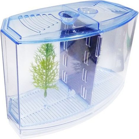 Boîte d'élevage de poissons à double compartiment, mini aquarium en plastique, boîte d'isolement et d'incubation pour poissons paon (1/2)