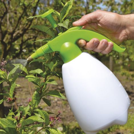 Pompa minipompa a pressione Nancy 2 lt giardino bricolage (1/2)