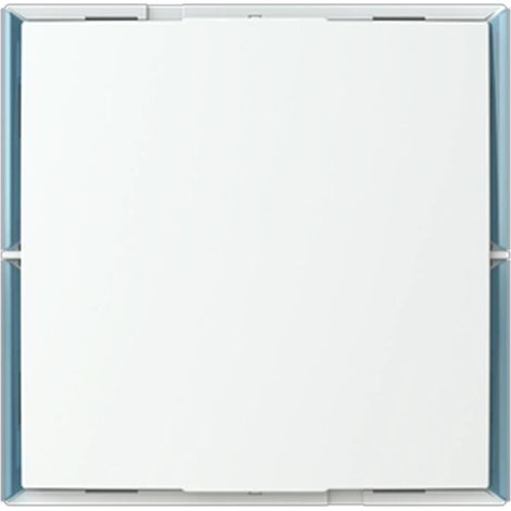 Dispositivo de control Busch-Jaeger kk/u4.55.11 compatible domótica 1 unidad