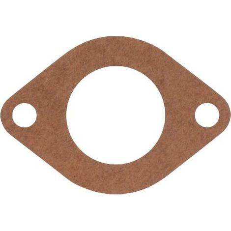 Guarnizione ingresso BRIGGS ET STRATTON 710559