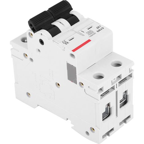 GYM9-C65 Leitungsschutzschalter, 2-polig, 230/400 V, 50/60 Hz, Schutzart IP20, Fehlerstromschutzschalter, 40 A (1/5)