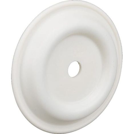 Membrane 13040