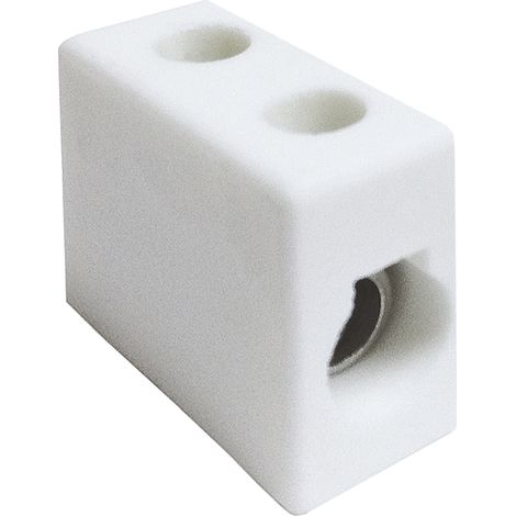 Rs Pro – Bornier de raccordement électrique 1 pôle à visser – Section câble 10mm² – Intensité 15A – Pack de 10 unités