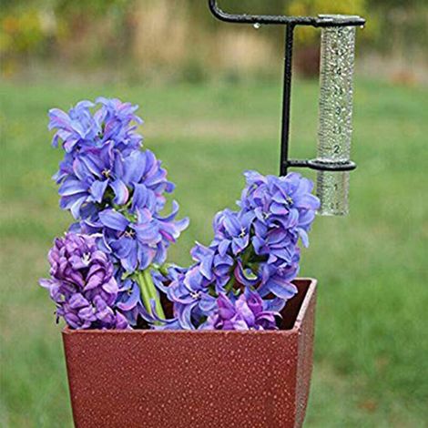 Lot de 2 pluviomètres en verre, diamètre 22 mm, hauteur 140 mm, éprouvette de mesure de pluie 5" (12 cm), kit de 2 tubes récipients (1/5)