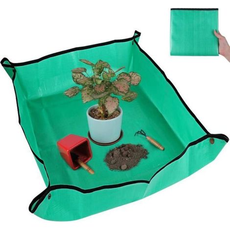 A waterproof repotting mat, perfect for indoor potted succulents, 75x100cm.