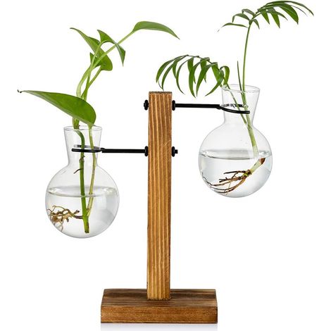 Vermehrungsstation mit Holzständer 2 Zwiebeln Vintage Avocado Vase Glas Reagenzglas Vasen für Blumen Quastenpflanze für Zuhause Tisch Schreibtisch Innendekoration (1/5)