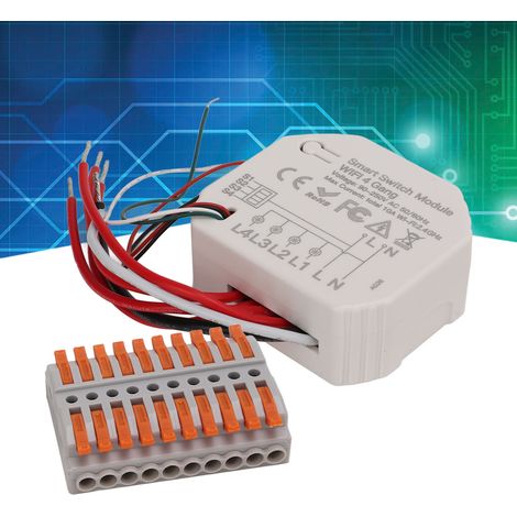 Module d'interrupteur caché WiFi Graffiti Smart Home à 4 voies avec télécommande via application intelligente et fonction minuterie (90-250V) (1/5)