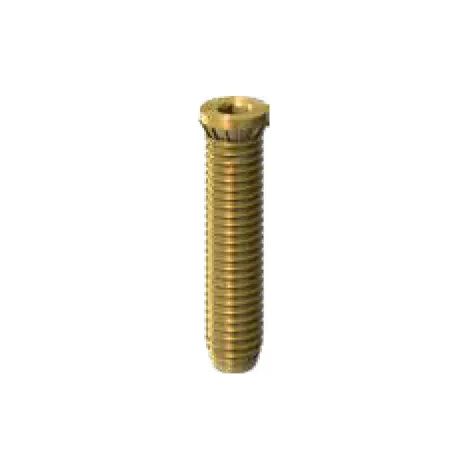 Vis d'ancrage pour paumelle 60 AT Hahn - Pour paumelle 3 lames - vissage direct - 48 mm