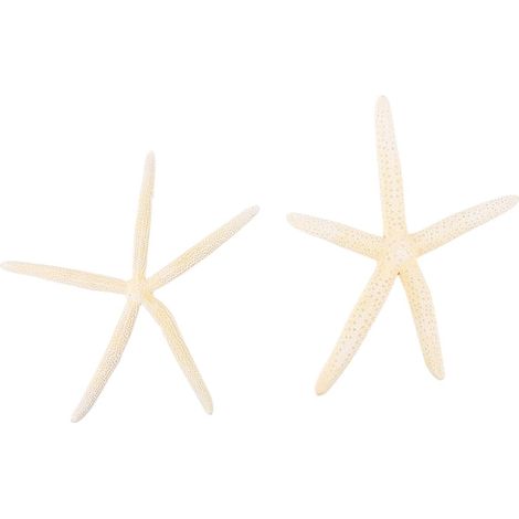 Étoiles de Mer Naturelles Blanches 2 Pcs Décoration Mariage Créative Accessoire de Décoration de Plage