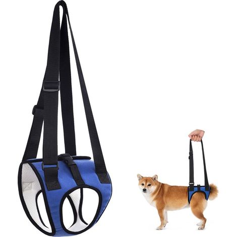 Harnais de Soutien pour Chien Handicapé, Levage et Pattes Arrière - Réglable pour Chiens Âgés et Blessés, 15kg (Blau) (1/5)