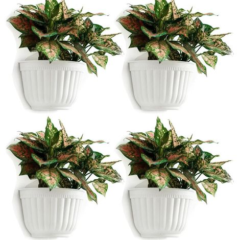 Pack Résine Tenture Murale Pot De Jardinière Vertical Jardin Salon Montage Mural Fenêtre Suspendre Plante Panier De Fleurs pour Herbes Balcon Balustrade Étagère Clôture Chambre Treillis Décor (1/5)