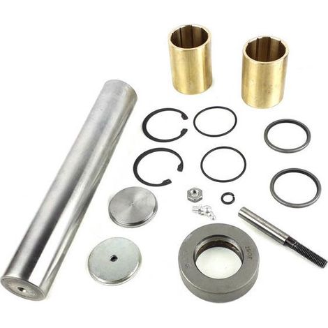 Kit de reparación pivot Renault Manager 5000793849, 6.94005, 060404255108, 25100100A