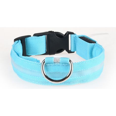 Collier LED rechargeable par USB pour chien de compagnie, clignotant, lumineux, sécurité, lumière en nylon (1/4)