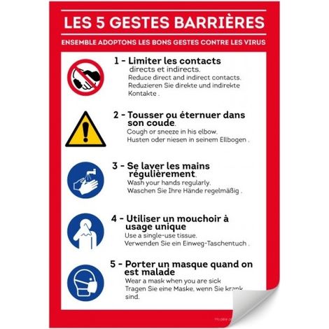 Panneau Les 5 gestes barrières - Adhésif A4 - 4610078