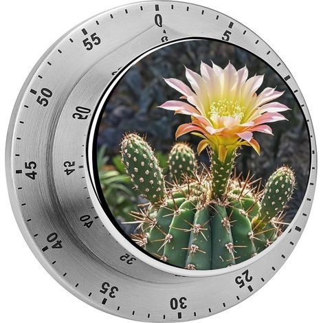 Minuteur en forme de fleur cactus, visuel tendance, d'ordinateur (1/5)