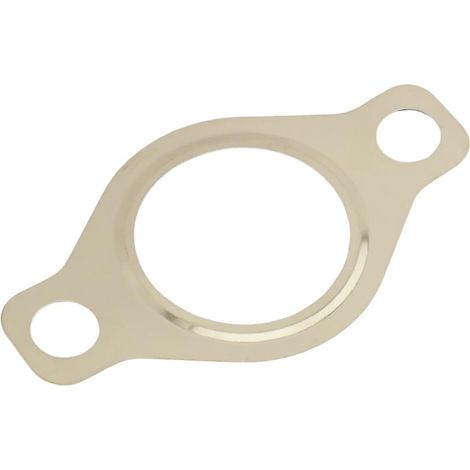 Guarnizione valvola EGR rapida FT50618 per scambiatore di calore EGR (1/2)