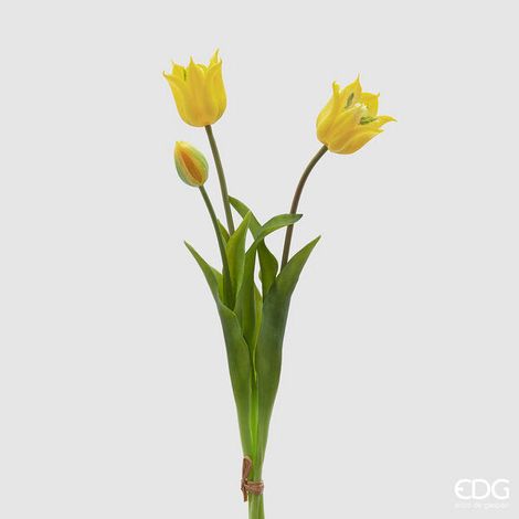EDG Enzo De Gasperi Tulipano Gommato Olis 3 Rami H 48 Cm Giallo 1 Cf