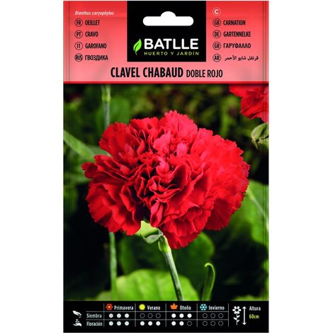 Semillas de Clavel Chabaud Rojo sobre