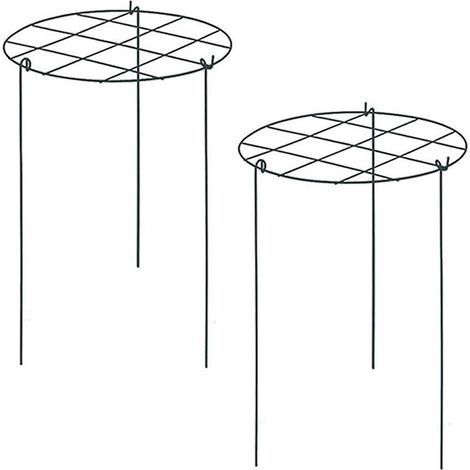 Support pour pivoines, cage de support pour pivoines, support pour plantes de culture adapté aux roses et aux orchidées (1/5)