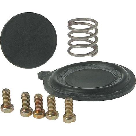Membrane complet pour soupape 01-0359