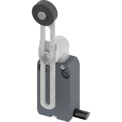 Pizzato Elettrica NF B112KP-DN2 NF B112KP-DN2 Endschalter 250 V/AC 4 A Rollenschwenkhebel tastend IP