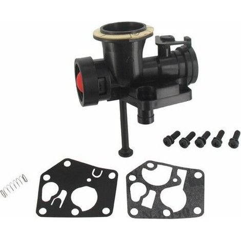 Carburador en el tanque 498811