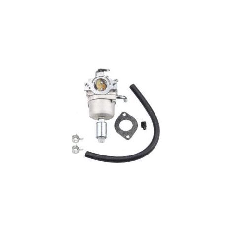 Vergaser, Briggs & Stratton 14,5-21 PS, Teilenummern 796109, 591731 und 594593 (1/5)