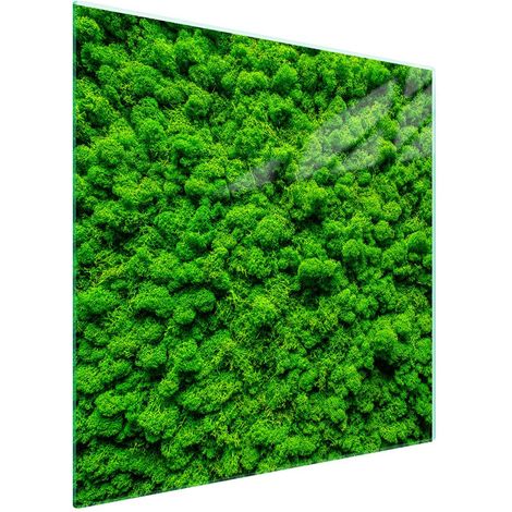 Piastra protettiva in vetro per piano cottura 50x52 Colore (1/5)