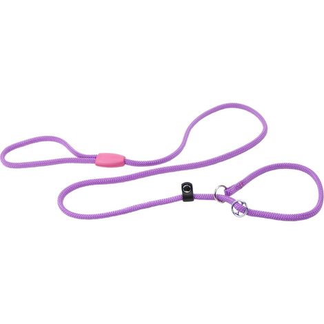 Laisse et Collier pour Chien, Laisse avec Collier Demi-étrangleur Ajustable, en Corde de Nylon, Poignée pour Un Contrôle Sûr, Longueur 160 cm, Violet (1/5)
