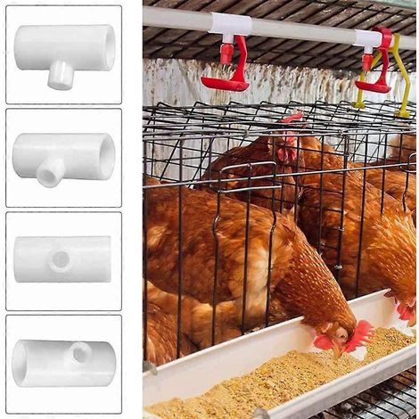 Raccord d'abreuvoir pour poulets adapté à l'élevage de volailles en intérieur et en extérieur (1/4)