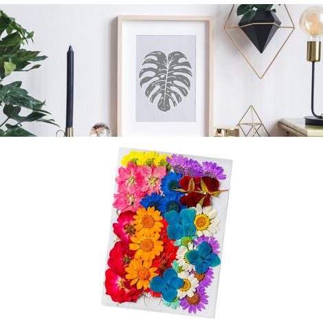36 fleurs séchées de styles et couleurs assortis, en matière naturelle. Fleurs séchées polyvalentes pour la décoration et le bricolage. (1/5)