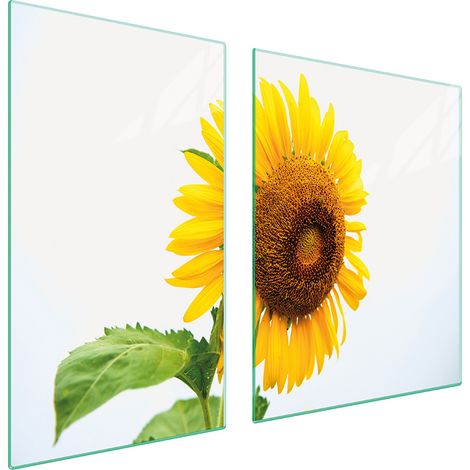 Assiette en verre et planche à découper 100x52 fleurs (1/5)