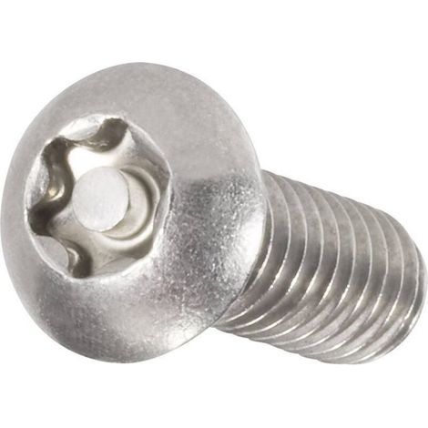 Vis à tête bombée M5 16 mm profil en avec téton acier inoxydable A2 10 pc(s)