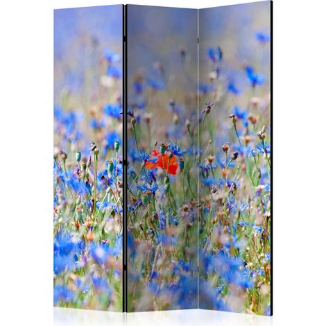 Paravent 3 Volets "A Sky Colored Meadow Cornflowers" 135x172cm (1/2)