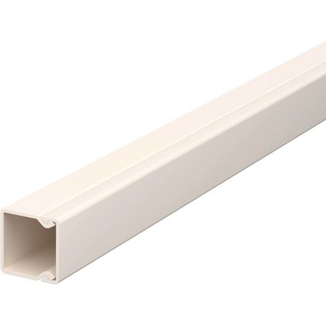 OBO Bettermann Canale da parete e soffitto con foratura sul fondo 20x20x2000 polivinilcloruro bianco crema RAL 9001, 6025153