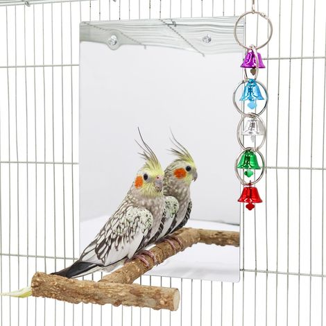 Grand Jouet Miroir pour Oiseaux avec Perchoir, Jouets avec Cloche et pour Perruches, Accessoires pour Cages à Oiseaux, Convient aux Perruches, Cockatiels, Conures, Inséparables (1/4)