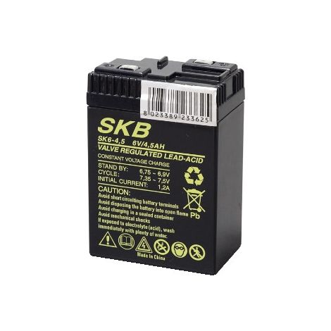 BATTERIA AGM Ermetica SKB 6V 4,5Ah