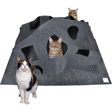 Tapis de jeu pour chat, tapis de jeu pliable pour chat, tapis interactif amusant pour animaux de compagnie, lit de toilettage à gratter (1/5)