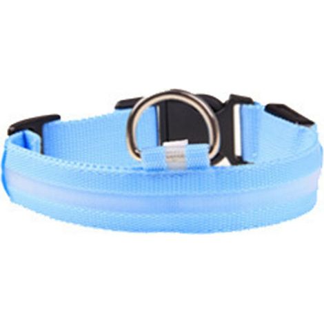 GARRYFIZH Collier LED Éclairagé pour Chien Taille M – Libération Rapide, Lumières Vives Réglables, Idéal Sécurité Nuit (Bleu) (1/5)