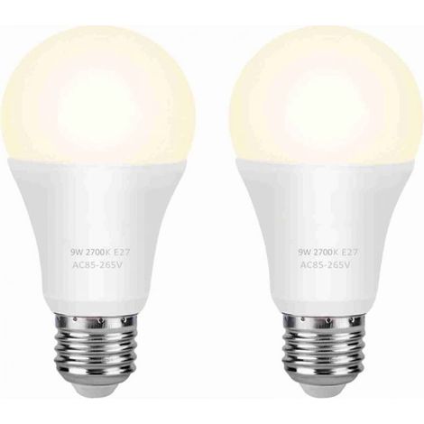 Ampoule néon LED, économie d'énergie, polyvalente, peut être utilisée dans les garages, les jardins, les cours (1/5)
