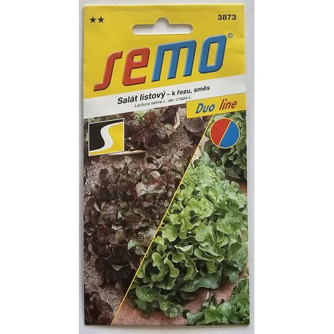 LATTUGA SEMO LEAF – riccia da taglio 3873