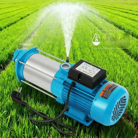 Pompe centrifuge en acier inoxydable, 1300 W, pompe d'irrigation, pompe de drainage, 230 V, pompe de vidange pour piscine, adaptée aux piscines et aux jardins