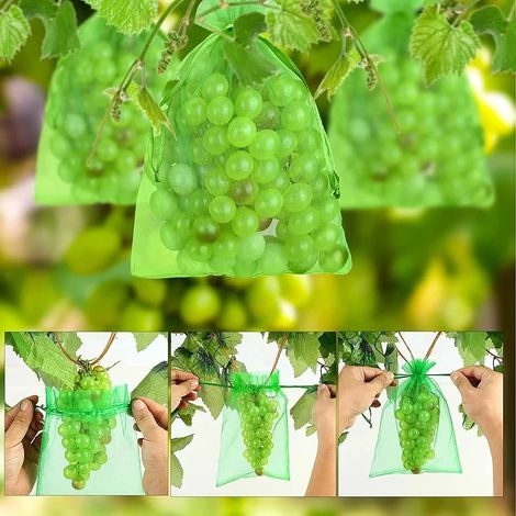 100 pièces sacs de culture de fruits de raisin filet de Protection des plantes végétales maille pour la lutte antiparasitaire outils de jardin (17X23cm) (1/5)
