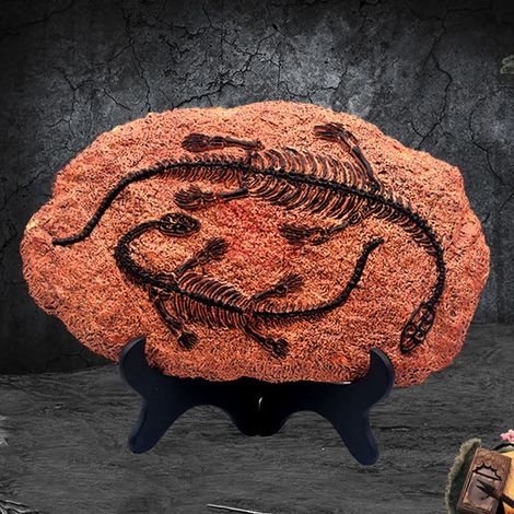 Dinosaurier-Fossilienfigur, leicht zu reinigen, hübsche Dinosaurier-Fossilienstatue aus Kunststoff, ideal als Geschenk - B