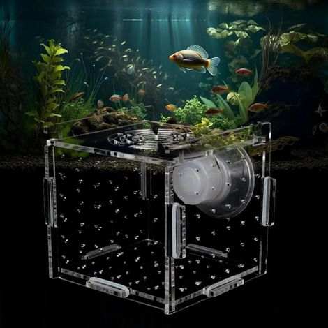 1 Boîte D'élevage, Acrylique, 1 Ventouse, Maille Fine, Pour Poissons Blessés, Aquarium (1/5)